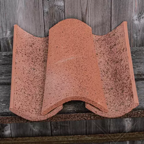 Rustikal gesprenkelte Mönch- und Nonnenziegel Modell Charentaise.