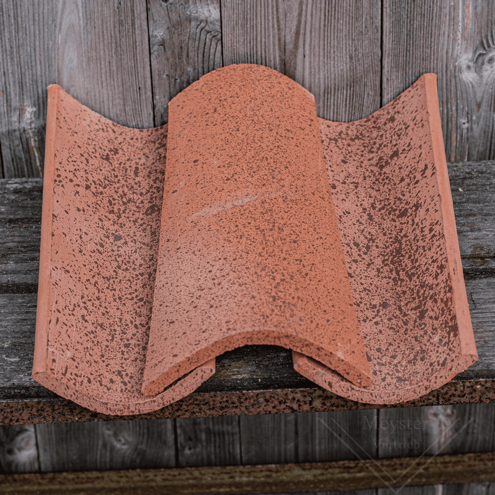 Mönch und Nonne Dachziegel Variante Charentaise für eine Gartenmauer Ruine